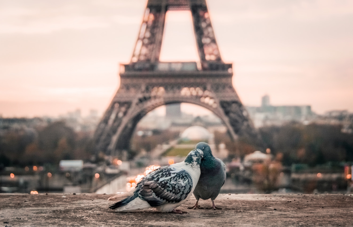 eiffel tower paris france